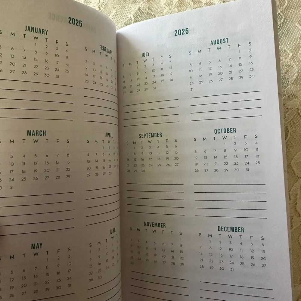 2025 Weekly Pocket Planner Appointment Book (6 1/2 X 4 ) Pay Bills Calen…